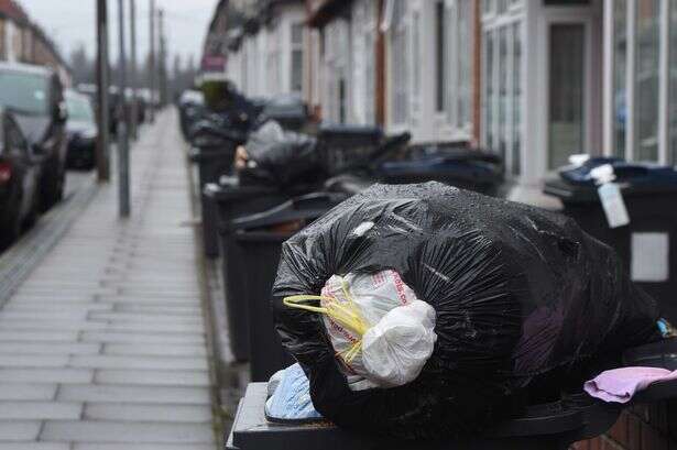 Auditor blames Birmingham's bins service for millions in equal pay claims and dirty streets