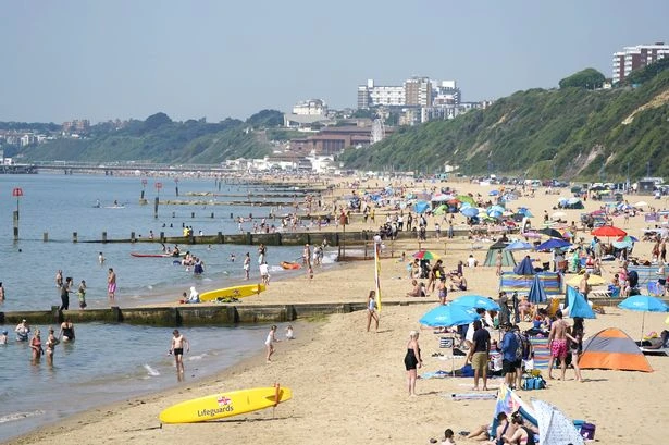 Met Office issues UK heatwave verdict for August and says 'perhaps higher than normal'