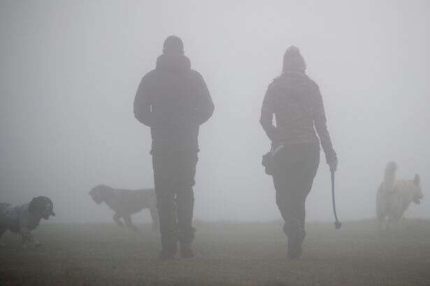 Met Office says 'delays expected' as 42 areas blanketed in heavy fog