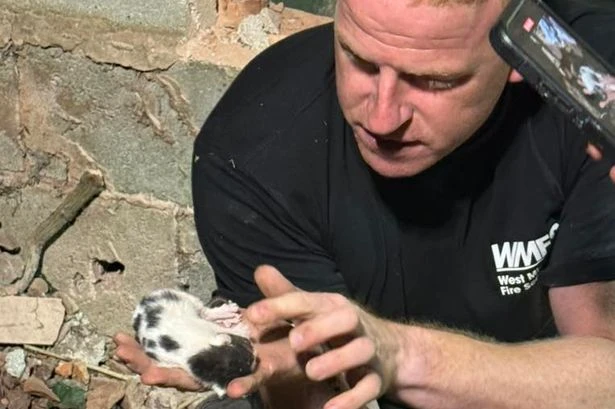 Firefighters spend 7 hours rescuing tiny kitten trapped down 13ft drop