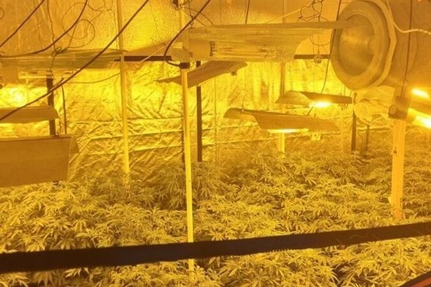 Birmingham cannabis farm worth £300k hidden in Digbeth industrial unit