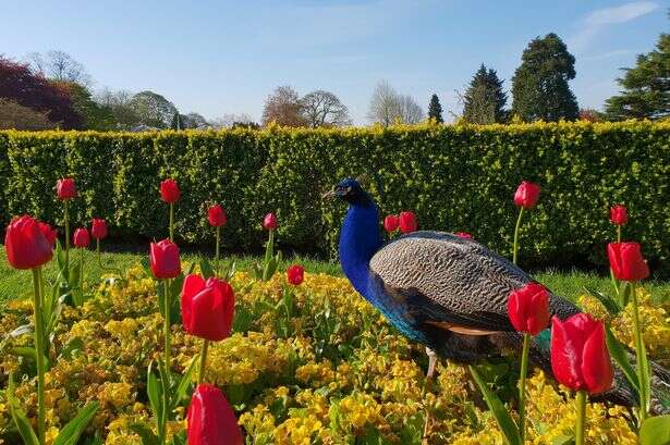 The much loved Birmingham attraction you can get in for free as it scraps entry fee for one day