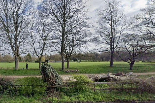 Man 'knifed in face and leg' in Wolverhampton park attack