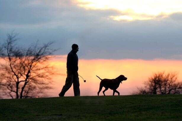 Dog owners warned over £1000 fine from now until August and how to avoid it