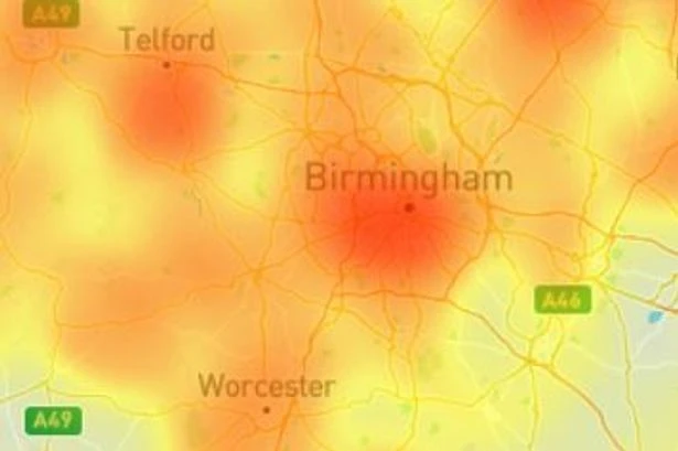Mapped - the worst places in Birmingham for Japanese knotweed