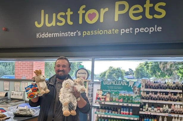 Just for Pets launches special TikTok live shopping events