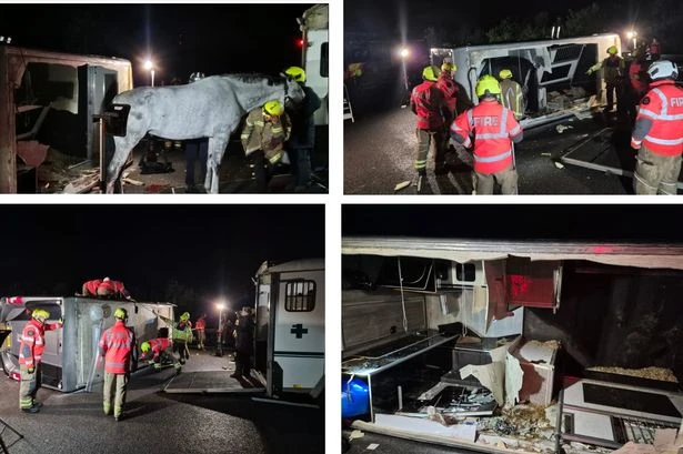 M6 toll closed as horse rescued from overturned lorry