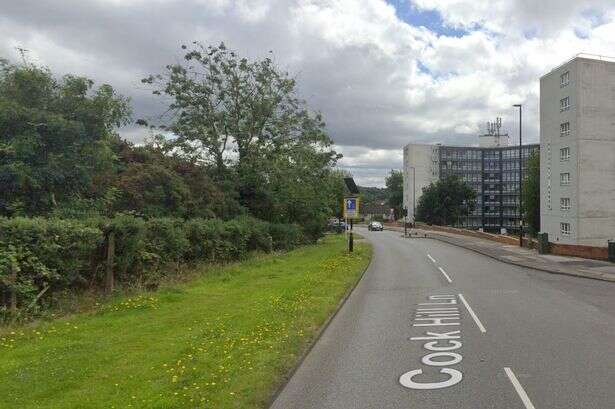 Police update as teens arrested over schoolboy attack after 'Hollywood Bowl fracas'