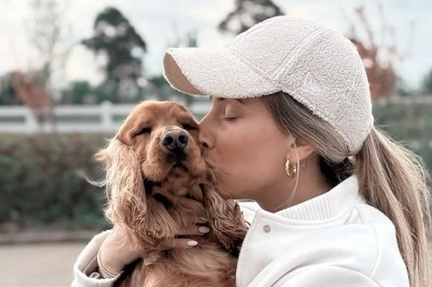 Stacey Solomon 'truly devastated' as dog 'may never recover' after sudden illness