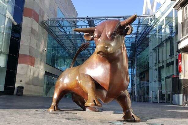 Women boycotting the Bullring after 'smooth' city centre pickpocket strikes ten times in a month