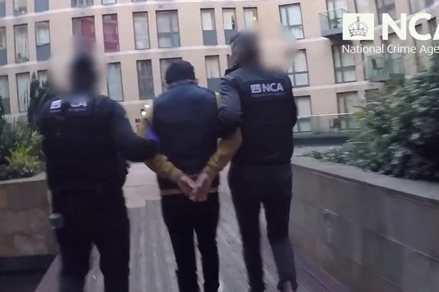 Moment police raid cannabis farm ringleader's swanky Birmingham flat