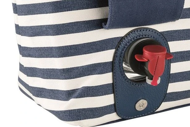 Lidl is selling wine cooler bags for summer that hold two bottles of booze