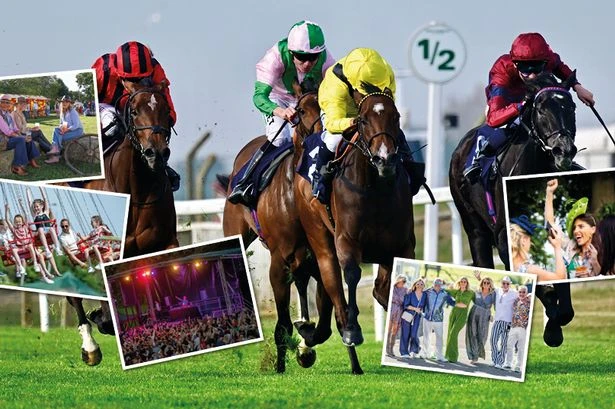 Free summer horse racing tickets to give away with Arena Racing