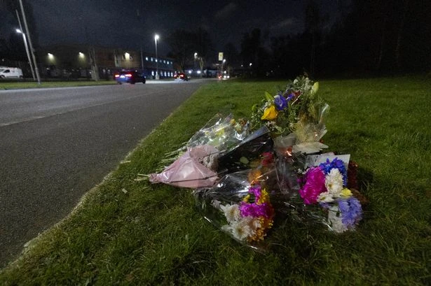 Child 'starts screaming' after finding man and dog dead at the side of the road