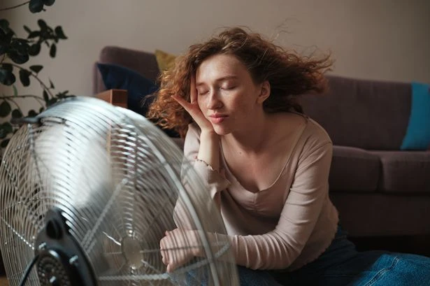 Anyone using electric fan urged to turn it off immediately as 30C heatwave looms
