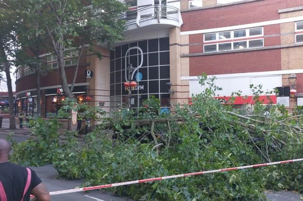 BREAKING - Updates as tree collapses on cars in Birmingham city centre