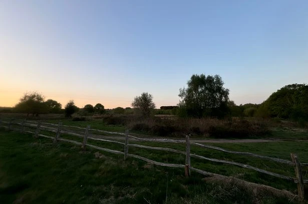 Twenty firefighters tackle Sutton Park blaze