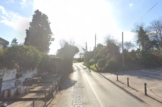 Skeletal remains found by member of public as police cordon off piece of land