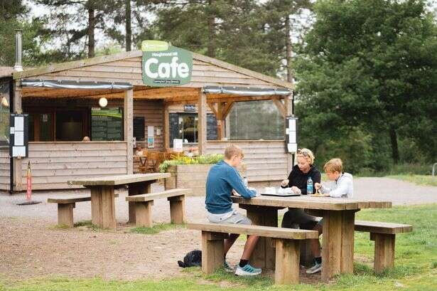 The woodland café an hour from Birmingham that needs someone to run it