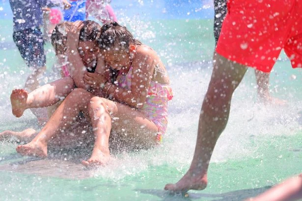 Warning over UK household heatwave habit which could 'trigger panic'