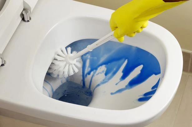 Most thankless household chores include cleaning toilets and taking out the bins