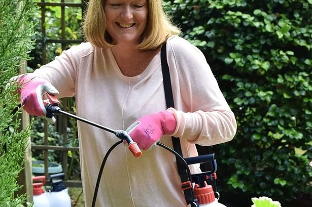 Top pressure sprayer hailed a 'trusty sidekick' for gardening jobs is £12 in Amazon sale