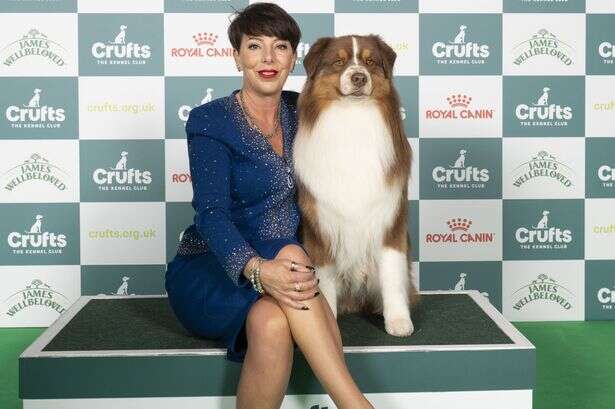 Crufts 2025 Day 4 full list of every breed winner for Working and Pastoral dogs