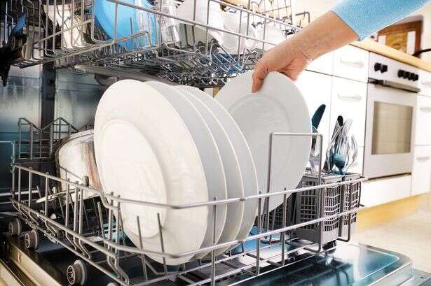 British Gas, Octopus, Eon, EDF and OVO customers told secret about using dishwasher