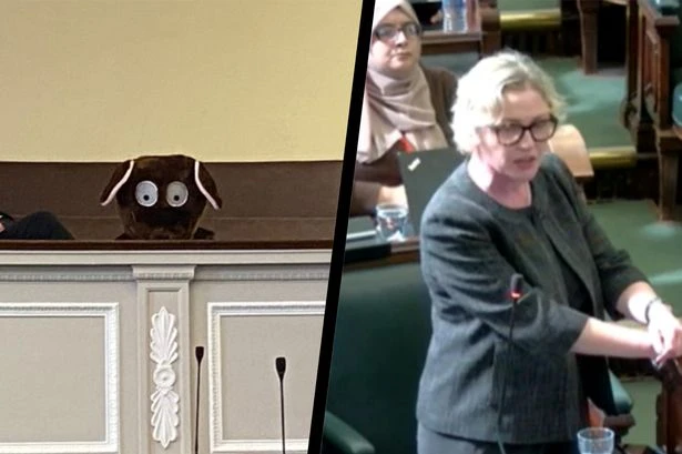 Five moments as Birmingham bin fears cast shadow over meeting - from 'giant rat' to resignation
