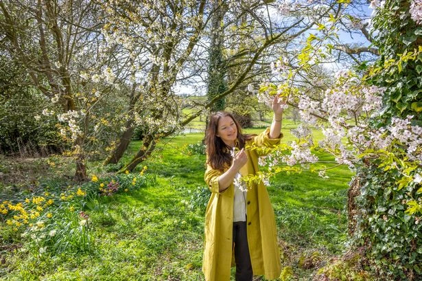 BBC Gardeners' World's Rachel de Thame names top 5 plants that will elevate your garden