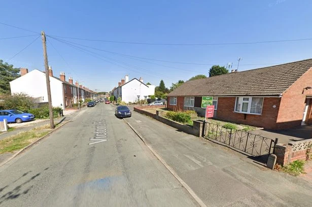 Illegal immigrant caught manning £51k cannabis farm could be deported