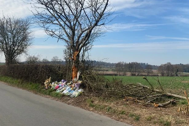 Popular restaurant pays tribute to 'great young lad' killed in crash as £5k raised for grieving family