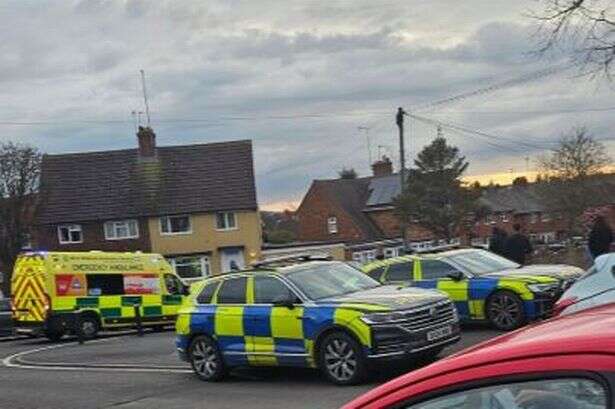 XL Bully attack in West Bromwich back garden as man fights for life in hospital