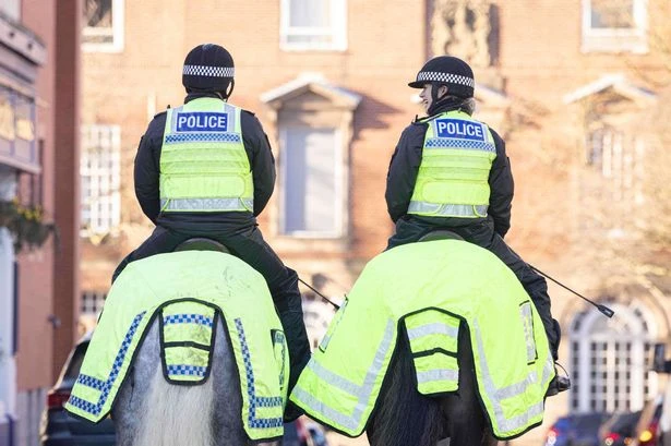 West Midlands Police to get own mounted unit to meet increasing demand at major events