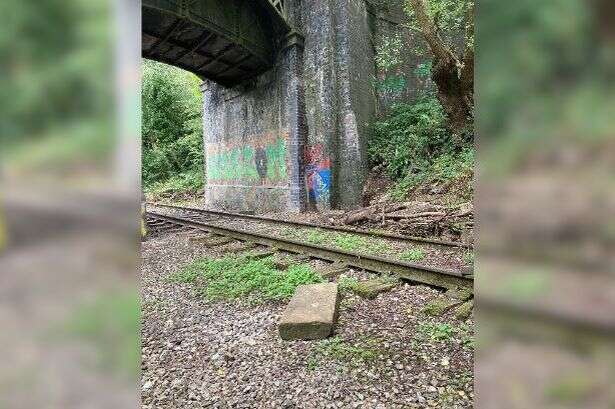 Disused railway line in Walsall to be turned into £1.75m 'greenway' for walkers and cyclists