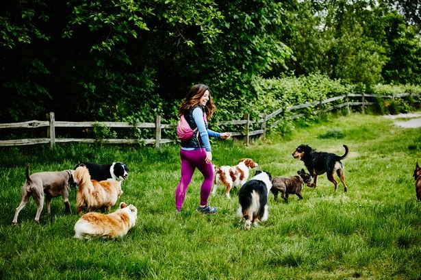 Health alert to anyone visiting parks as experts issue four symptoms of illness