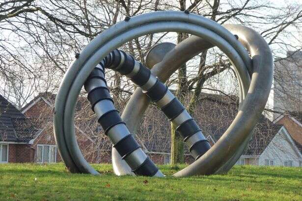 Heartwarming reason a 'mini forest' is set to appear in Birmingham park