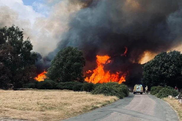 Fire in Sutton Park trapped visitors ‘putting lives at risk’ as brigade confirms cause