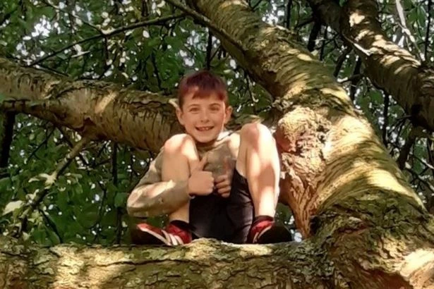 Midland boy, 11, dies in 'unavoidable' crash as he crossed road 'to get to mum'