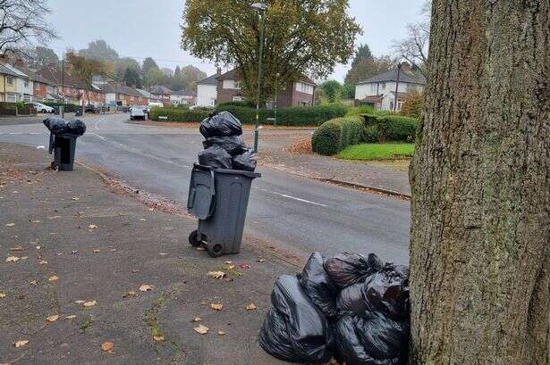 Anger as Birmingham bin collections missed - as council reveals 'long-term fix' will take months