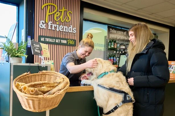 Discover why Pets & Friends Lichfield totally get your pets