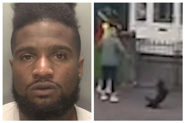 Vile Birmingham thug who booted dog in the air and strangled his own mother jailed