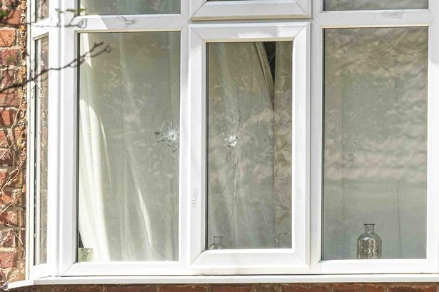 Shock pictures show bullet holes in glass where woman seriously hurt in shooting