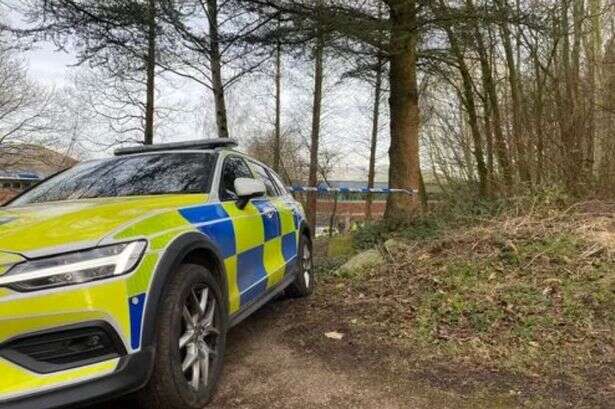 Police issue update after human remains found in woodland in 'unexplained death'