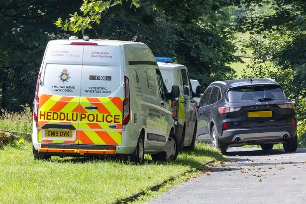 Teen arrested in murder probe after missing schoolgirl, 14, found dead