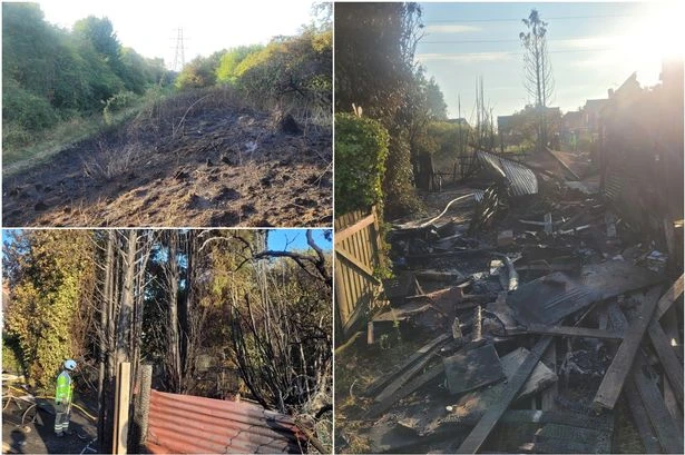 Firefighters rush to stop grass fire which came 'a few feet' from home