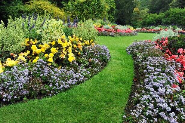 'I'm a gardener and this is the best time to feed your grass to keep it healthy and lush'