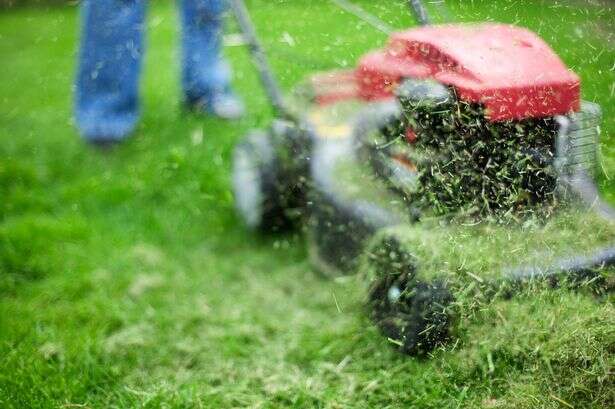 Gardening experts issue definitive verdict on when to stop mowing your lawn