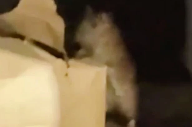 Ibis hotel apology in full after 'rat runs up leg' of Birmingham city centre guest