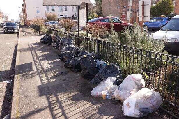 Bin men 'holding Birmingham to ransom' as garden waste move sparks anger